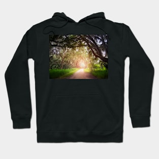 Sunlit Trail Hoodie